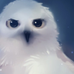 Zdjęcie profilowe Hedwiga
